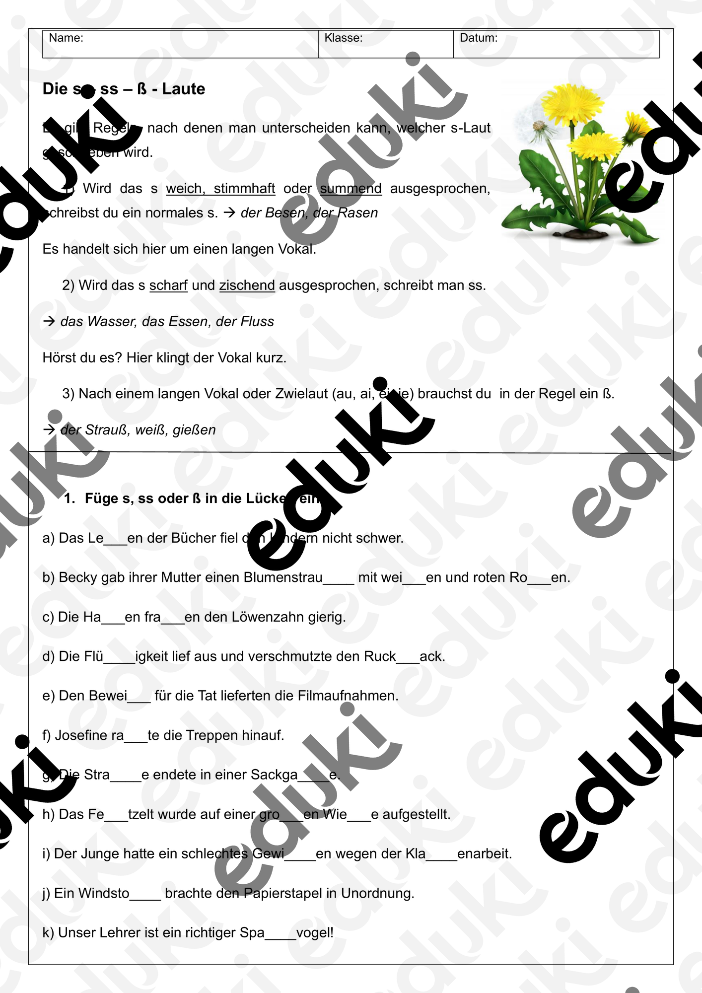 Die s - ss - ß - Laute - Arbeitsblatt – Unterrichtsmaterial im Fach Deutsch