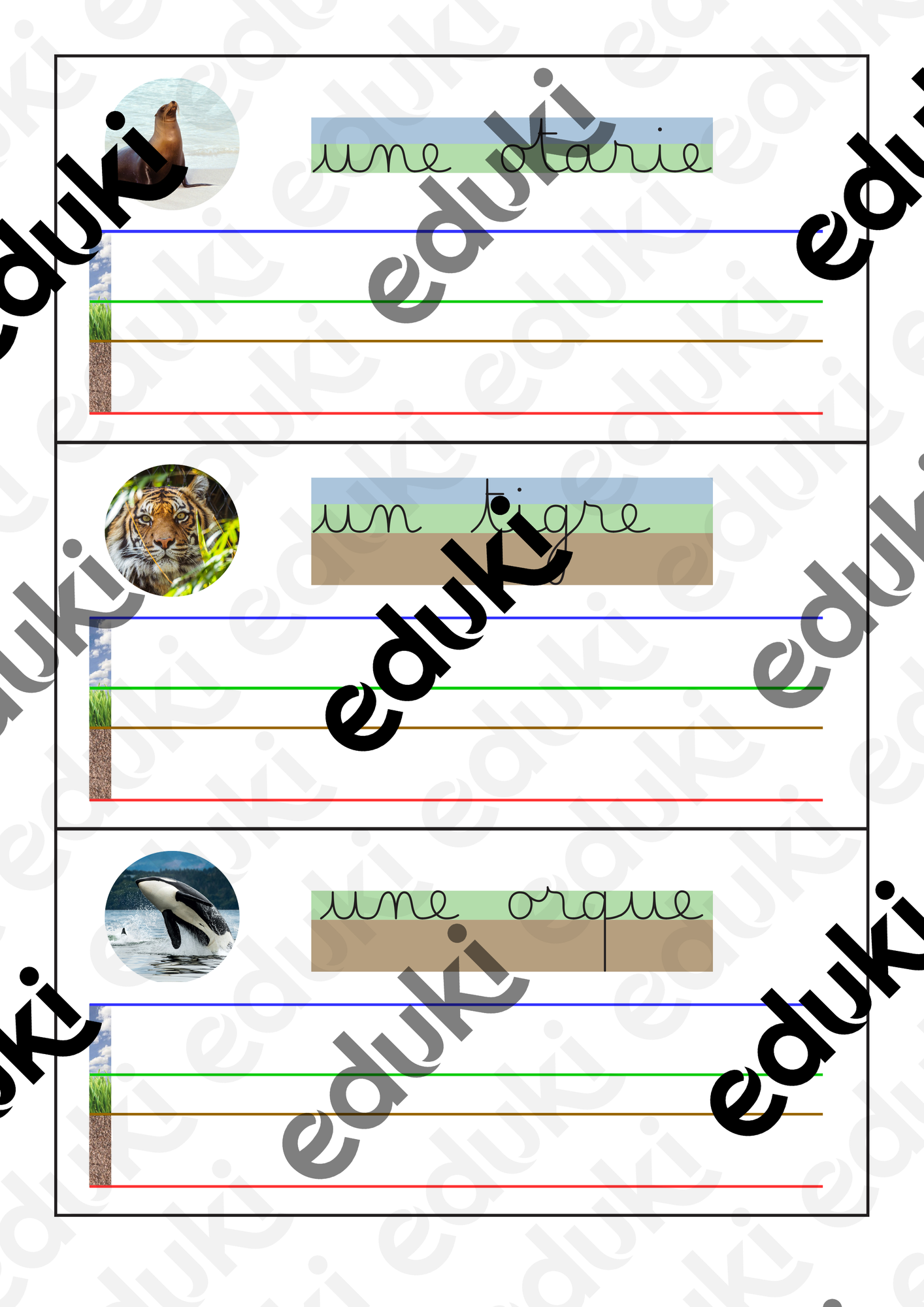 écriture - modèles en cursive - avec les lignages terre/ciel/herbe ...