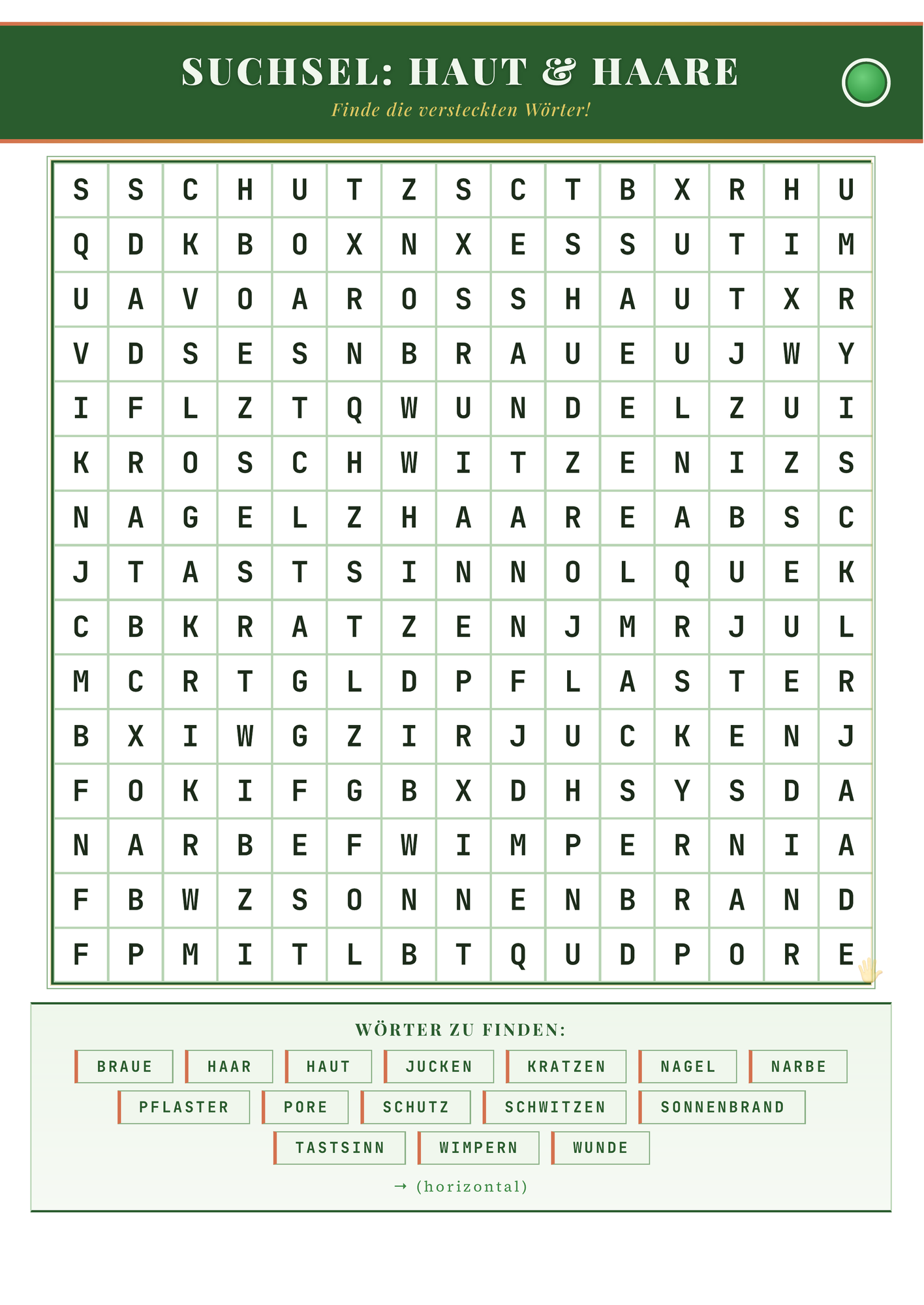Suchsel: Haut & Haare – Buchstabenrätsel zum Ausdrucken