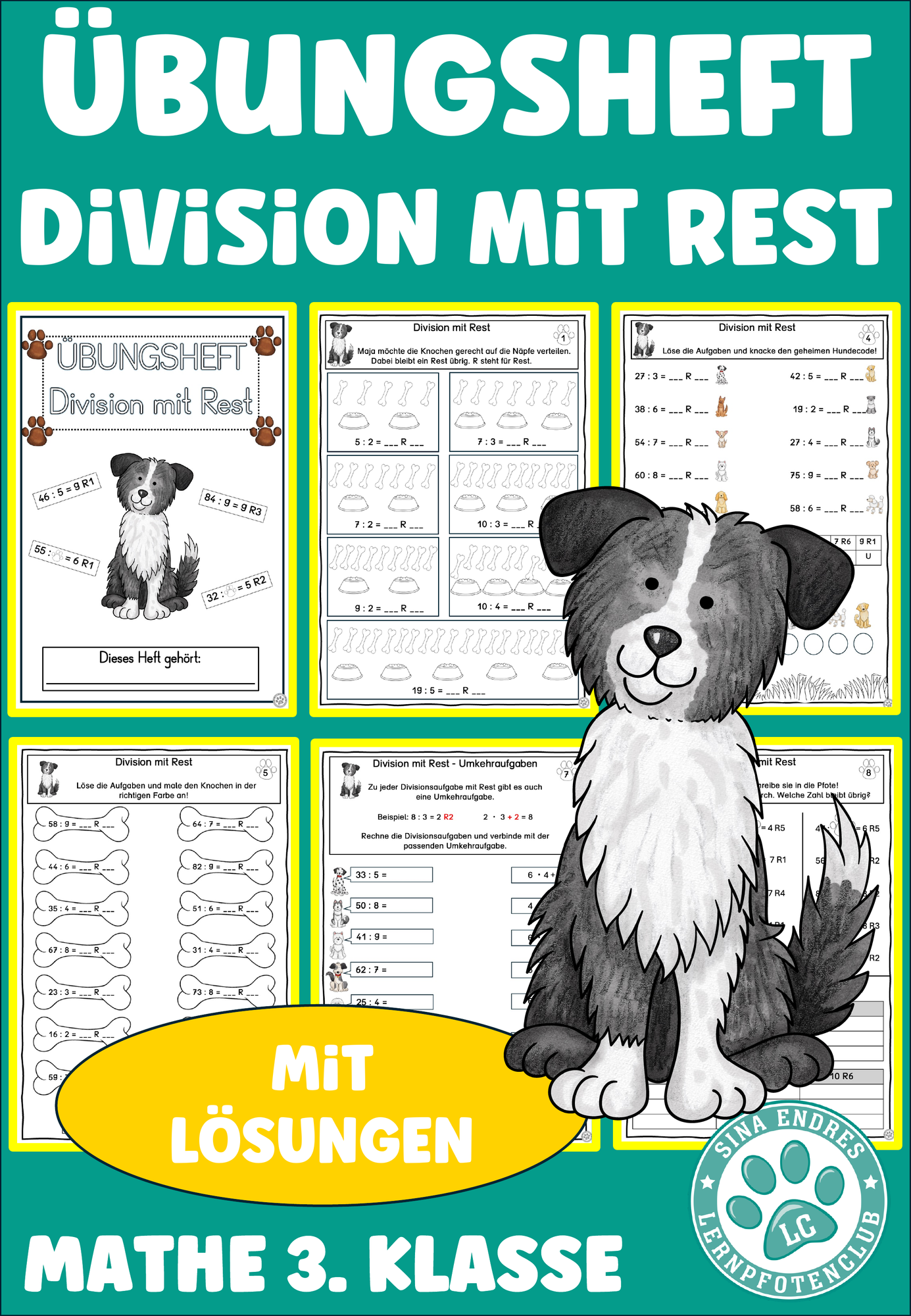 Divison mit Rest ZR 100 Übungsheft Mathe 3. Klasse