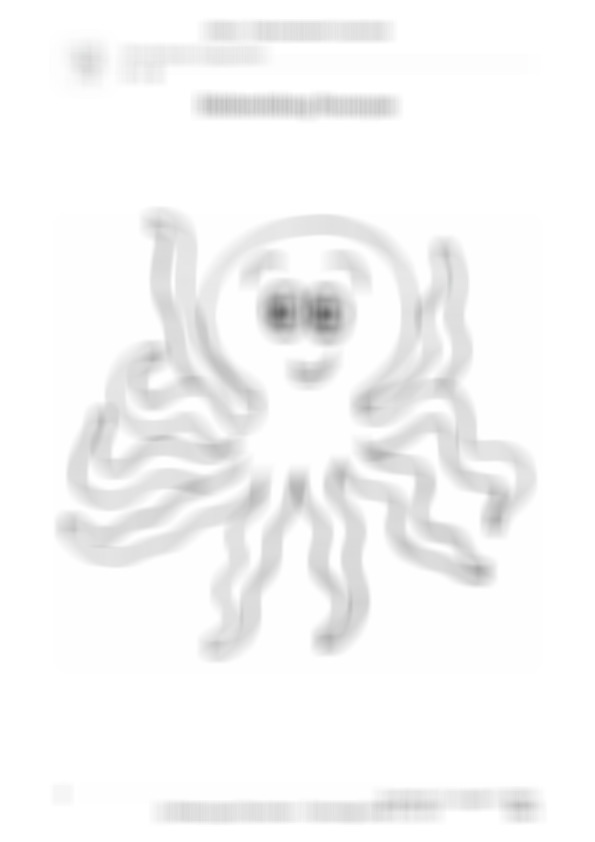 ZoomedPreview