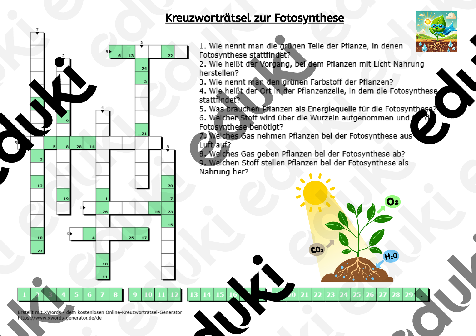 Kreuzworträtsel zur Fotosynthese (inkl. Lösung) – Unterrichtsmaterial ...