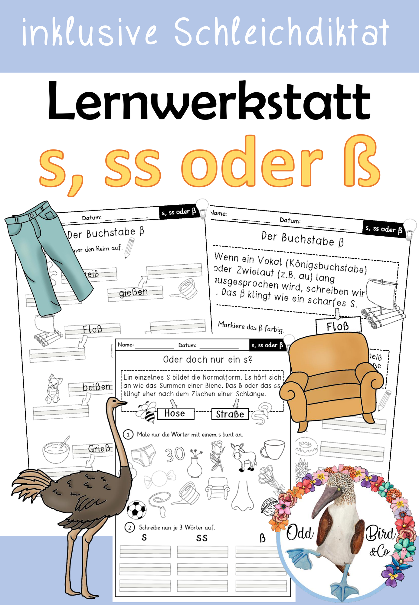 S, ss oder ß - Lernwerkstatt mit Arbeitsblättern und Schleichdiktat ...