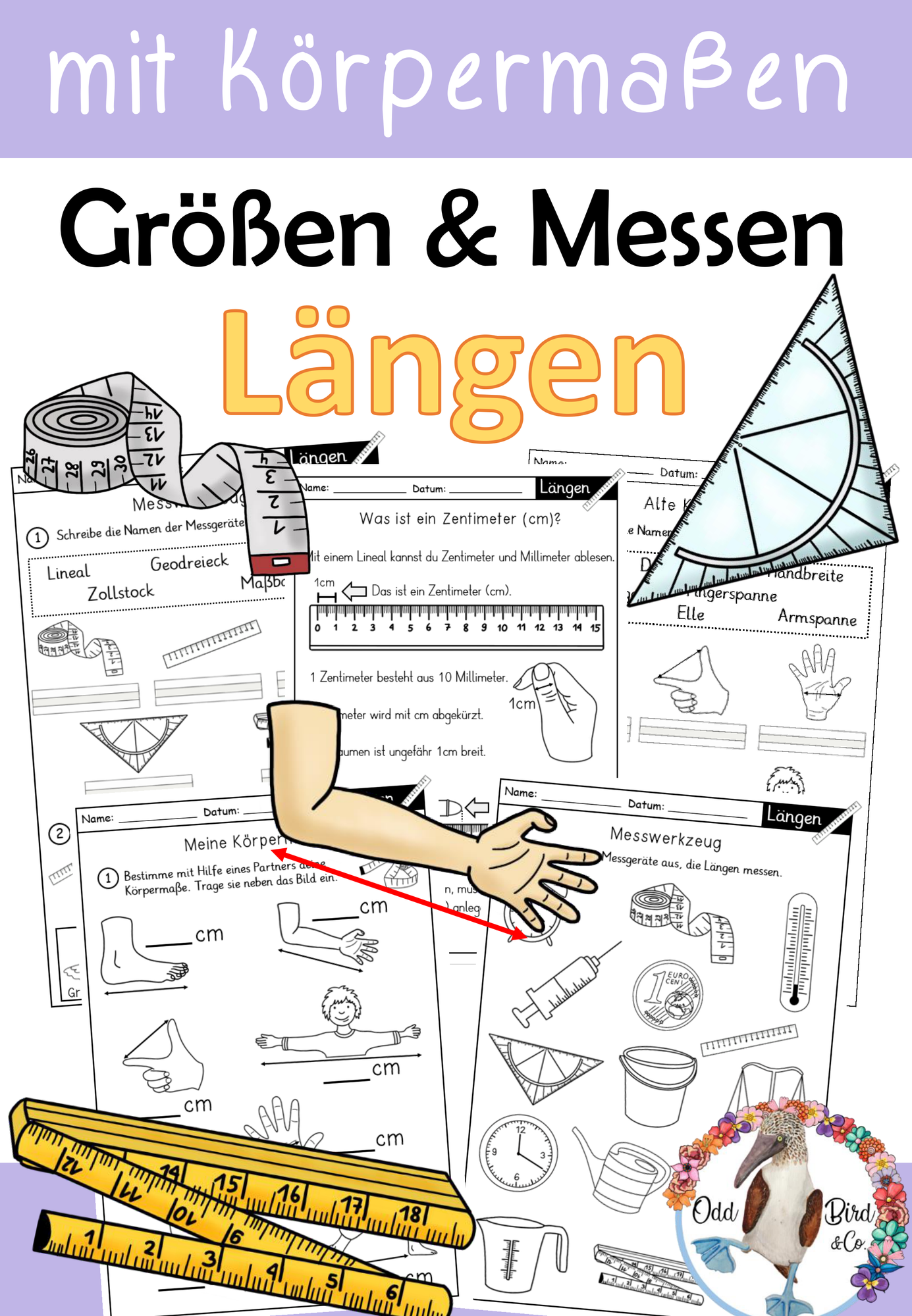 Größen & Messen : Längen - für die 1. / 2./ 3. Klasse - inklusive